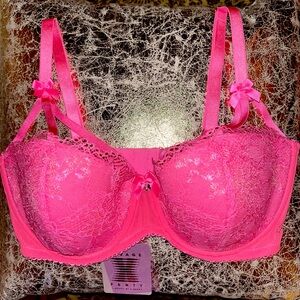 Savage X Fenty Crystal Mesh Balconette bra size 36DDD/F BN